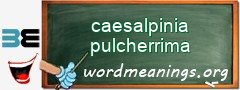 WordMeaning blackboard for caesalpinia pulcherrima